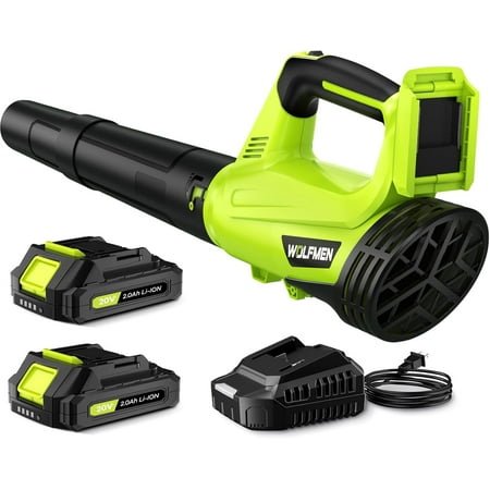 DARKIRON Cordless Leaf Blower, 20V Leaf Blower with 2 x 2.0Ah Batteries & Charger, Up to 450CFM/150MPH, 2 Variable Speed, Lightweight for Blowing Leaves, Patio Cleaning, Lawn Care and Dust (Green)