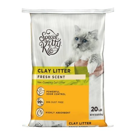 Special Kitty Fresh Scent Non-Clumping Clay Cat Litter, 20 lb
