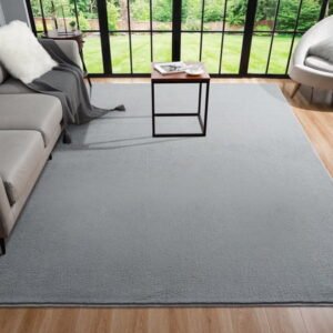 Noahas Soft Low Pile Rug Modern Area Rugs for Bedroom Living Room,Suitable for Boys Girls Teenagers and Adults with Super Soft Touch , Gray , 4' x 6'