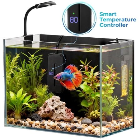 2.5 Gallon Nano Nature Aquarium Kit with Smart Temperature Controller, DOMIPET Ultra-Clear Rimless Desktop Fish Tank with Light and Silent Multi-Layer Filter, Small Tank with Temp Display for Beta