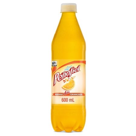 Penafiel Naranjada Flavored Spring Mineral Water, 20.3 fl oz, Bottle
