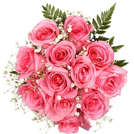 2 Dozen Mother's Day Pink Roses