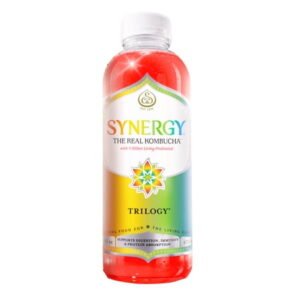 GT's Synergy Trilogy Raw Kombucha 16 fl oz