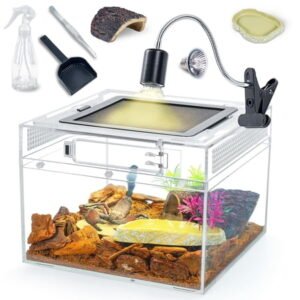 Gecko Tank & Reptile Terrarium Kit with Heat Lamp, Spray Bottle, Tools & Hideout - Perfect Habitat for Lizards, Snakes, Turtles, Hermit Crabs, Frogs, Jumping Spiders 8x8x6 Inch