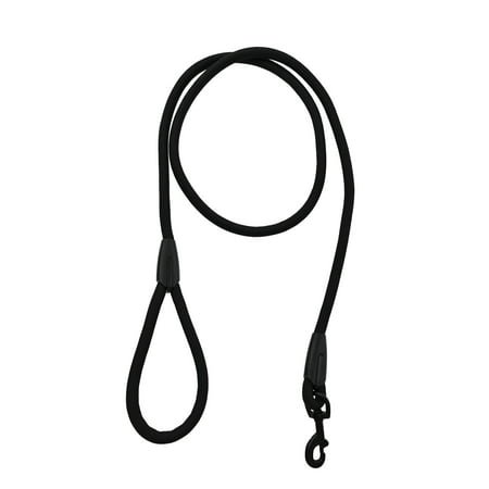 Vibrant Life 6' Padded Handle Rope Leash, Black, M/L