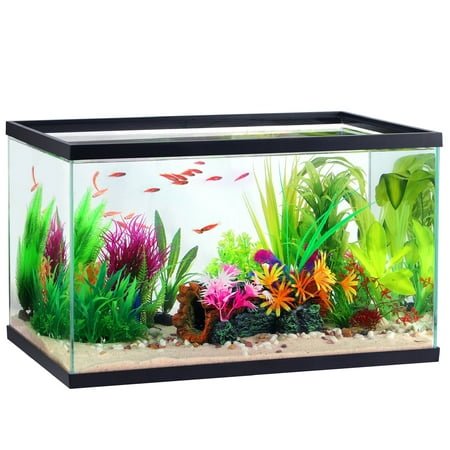 Aqua Culture Large 10-Gallon Transparent Glass Aquarium Breeder Tank