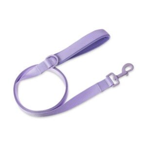 Vibrant Life 6' Neoprene Cushioned Leash, Lavender, M/L
