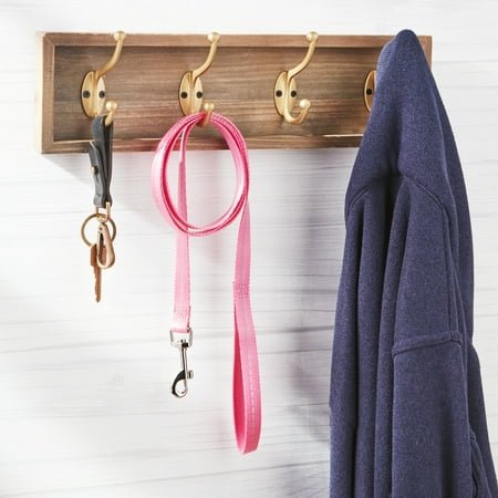 Vibrant Life 5' Reflective Polyester Dog Leash, Pink, Medium