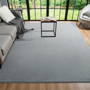 Arogan Soft Low Pile Rug Modern Area Rugs for Bedroom Living Room,Suitable for Boys Girls Teenagers and Adults with Super Soft Touch , Gray , 4' x 6'