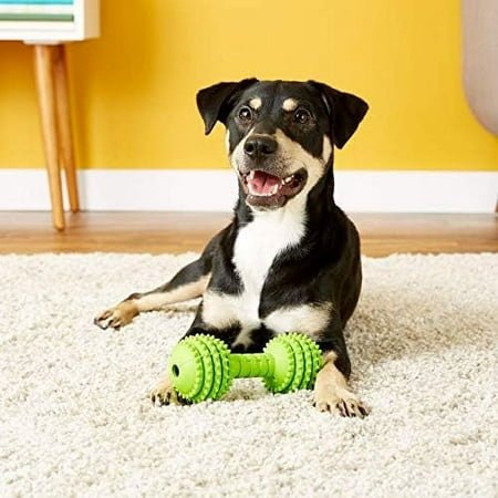 JW Chompion Bone Durable Non Toxic Rubber Dog Chew Toy for Large Dogs 60 lb & Up, Heavyweight, Large 9", Assorted Colors