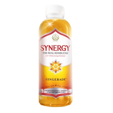 GT's Synergy Gingerade Kombucha 16 fl oz