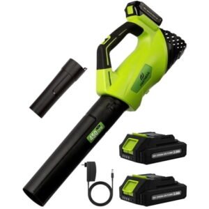 Firstness Cordless Leaf Blower, 20V Leaf Blower with 2 Batteries & Charger, Up to 450CFM/145MPH, 2 Variable Speed, Lightweight for Blowing Leaves, Patio Cleaning, Lawn Care and Dust