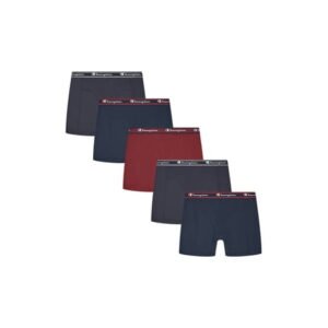 Champion Men’s Boxer Briefs – 5 Pack Wear360 Underwear, Moisture-Wicking, Articulated Shaping, Sizes S–2XL