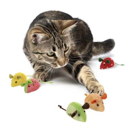 SmartyKat Skitter Slices (Set of 5) Soft Plush Catnip Mice Cat Toys Filled with Pure & Potent Catnip