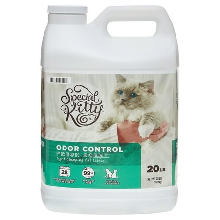 Special Kitty Clumping Clay Cat Litter, Fresh Scent, 20 lbs Jug, 1 Count