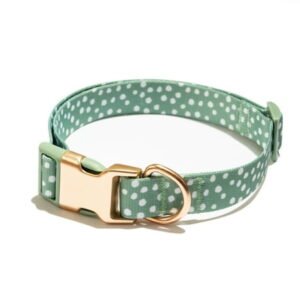 Vibrant Life Adjustable Fashion Dog Collar, Green Polka Dot, S