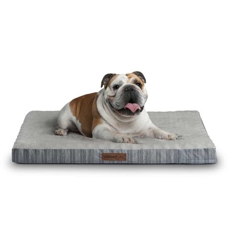 Vibrant Life Large Orthopedic Foam Dog Bed for Large Breeds, 35" x 25", Grey