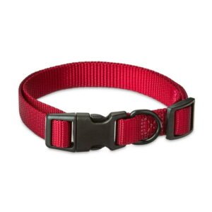 Vibrant Life Solid Polyester Adjustable Dog Collar, Red, M