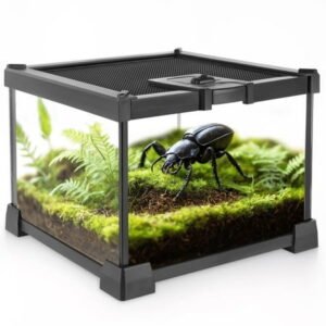NEPTONION Mini Reptile Glass Terrarium 8"x8"x6" Durable Reptile Habitat Tank with Heat Resistant Aluminum Alloy Frame, Single Swinging Doors for no Jam by Sand and Other Debris