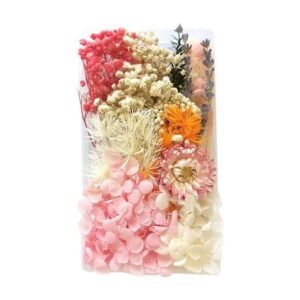 Pompotops Real Natural Dried Flowers Material Kit Diy Everlasting Flowers Material Making Valentine's Day Gift