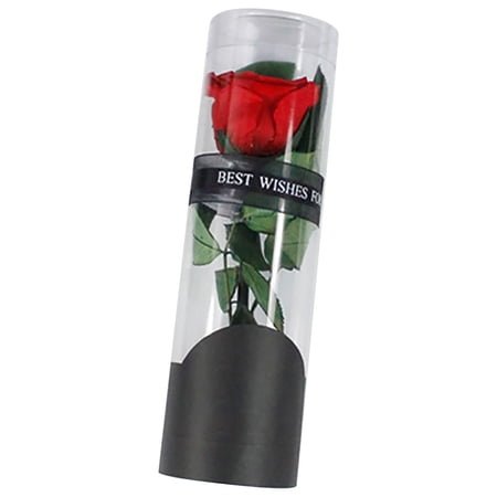 piaybook 2024 Valentine Artificial Flowers Rose Gift For Her Gifts For Women Red Rose Flower In Glass Dome With Valentine's Day Lights Artificial Roses Gift For Mom Mothers Day Anniversary