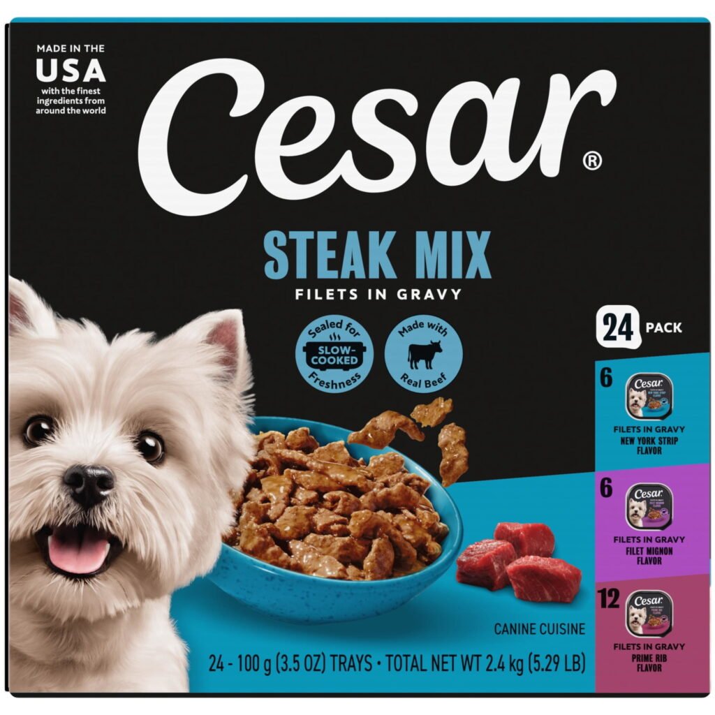 Cesar Filets in Gravy Variety Flavors wet Dog Food Adult 3.5 oz Easy Peel Trays 24 Pack