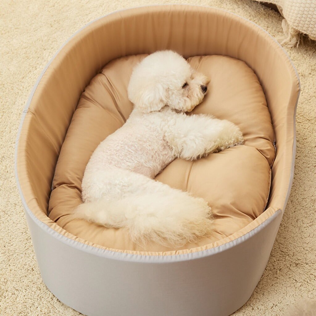 Clearance Kbndieu Dog Bed Medium Size Dogs, Cat Beds for Indoor Cats, Pet Bed for Puppy and Kitty, Washable, Extra Soft, Anti-Slip Bottom, Brown
