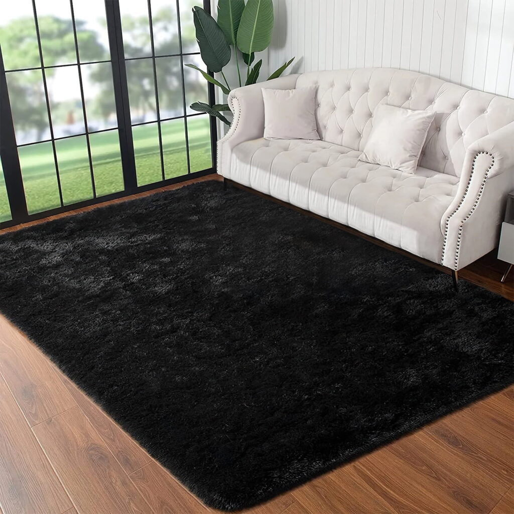 Cshidworld Area Rugs for Living Room Bedroom, 5x8 Ultra Soft Comfy Fluffy Thickened Memory-Foam Indoor Carpets, Modern Minimalist Carpet for Teen Adults Apartment Bedroom Home Decor, Black